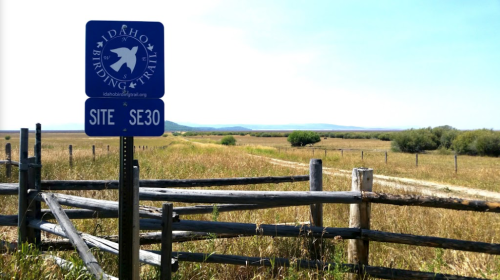 Sign for the Idaho Birding Trail at Site SE30, with a grassy field and distant hills under a clear blue sky.
