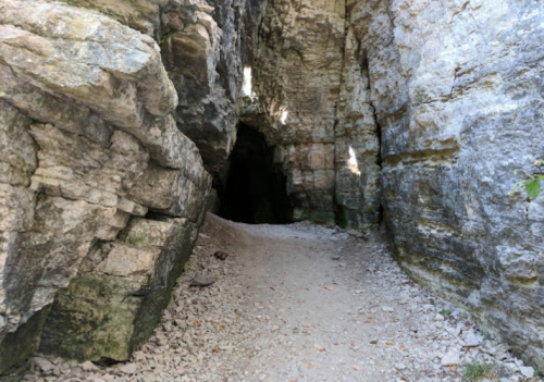 A rocky cave entrance surrounded by tall stone walls and a gravel path leading into darkness.