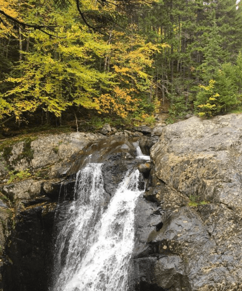 A waterfall cascading over rocky terrain, surrounded by vibrant autumn foliage and dense green trees.