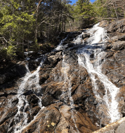 A cascading waterfall flows over rocky terrain, surrounded by lush green trees under a clear blue sky.