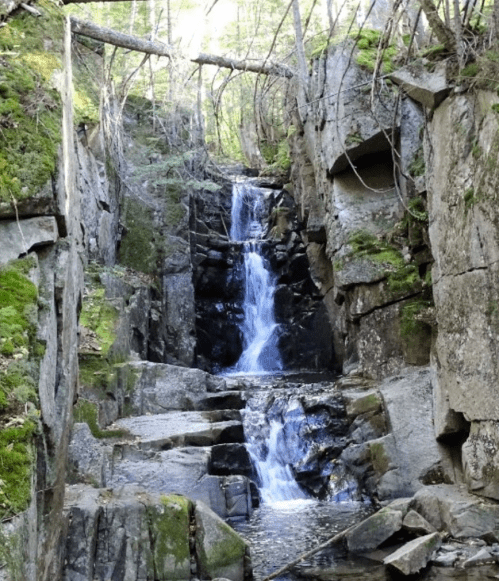 A serene waterfall cascades down rocky cliffs, surrounded by lush greenery and moss-covered stones.