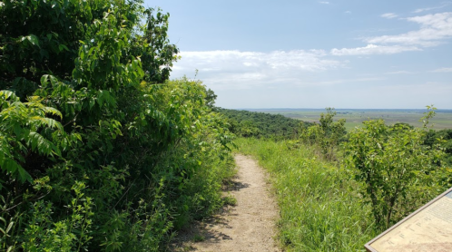 A dirt path surrounded by greenery leads to a scenic view of rolling hills and a blue sky.