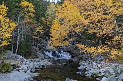 A serene stream flows through a rocky landscape, surrounded by vibrant autumn foliage in shades of yellow and green.