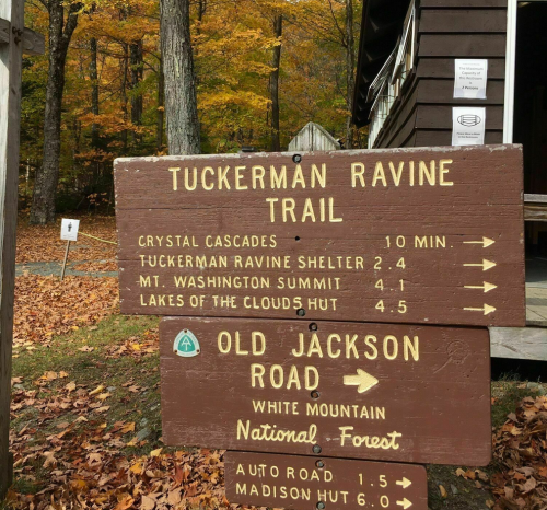 Wooden trail sign with directions to Tuckerman Ravine, Crystal Cascades, and Mount Washington in a forested area.