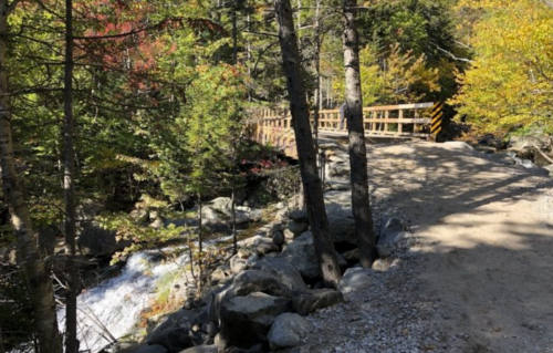A serene forest path with a wooden bridge over a stream, surrounded by colorful autumn foliage.