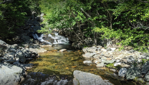 A serene stream flows through a rocky landscape, surrounded by lush green trees and sunlight filtering through the leaves.