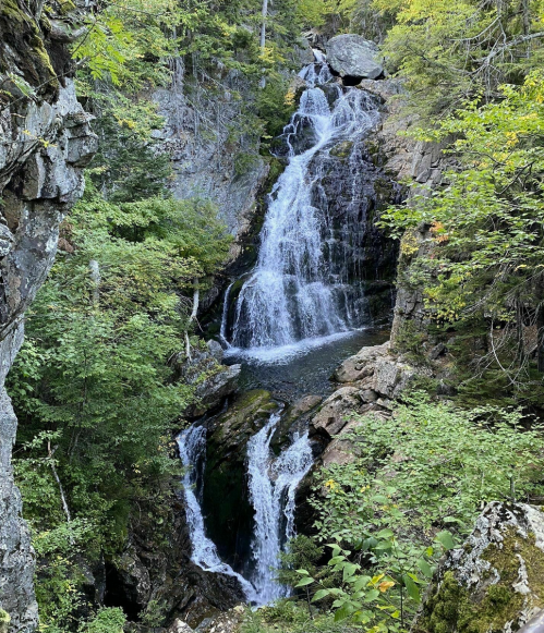 A serene waterfall cascading down rocky cliffs, surrounded by lush green foliage and trees.