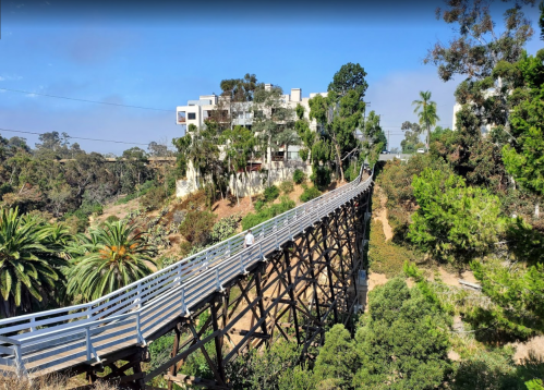 A wooden bridge stretches over a lush landscape, leading to a modern building surrounded by trees and palm plants.