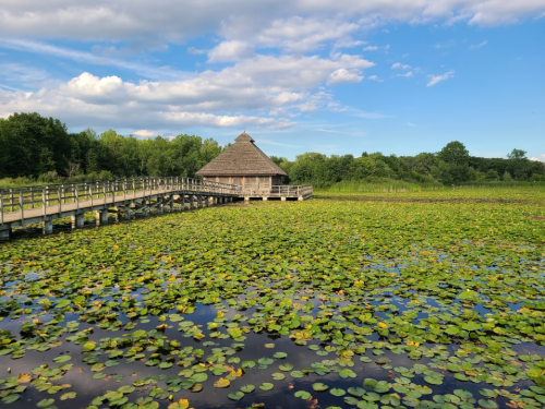 A wooden walkway leads to a thatched-roof hut surrounded by a pond filled with lily pads and lush greenery.