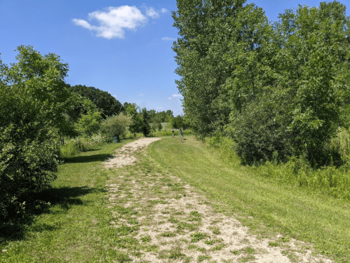 A sunny path through greenery with two people walking in the distance under a blue sky.