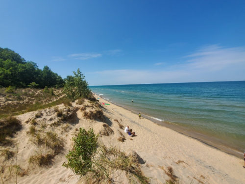 A sandy beach with gentle waves, green trees in the background, and a clear blue sky. People enjoy the shoreline.