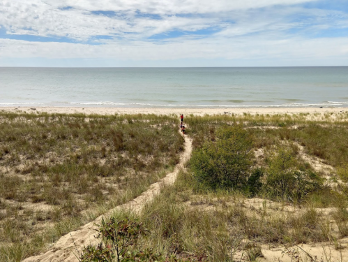 A sandy path leads to a beach with gentle waves, framed by grass and shrubs under a partly cloudy sky.