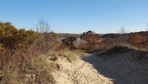 A sandy path leads through colorful autumn trees to a serene lake under a clear blue sky.
