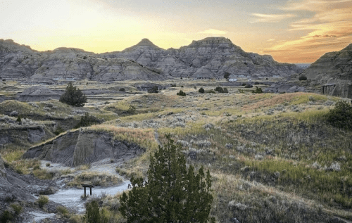 A scenic view of rolling hills and grassy plains at sunset, with a few trees dotting the landscape.