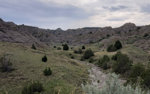 A scenic view of rolling hills and grassy valleys under a cloudy sky, with sparse trees dotting the landscape.