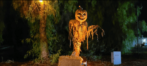A spooky skeleton with a pumpkin head stands among trees, illuminated by orange light, creating a Halloween atmosphere.
