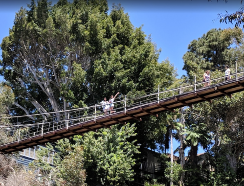 A suspension bridge surrounded by lush trees, with people walking and enjoying the view on a sunny day.