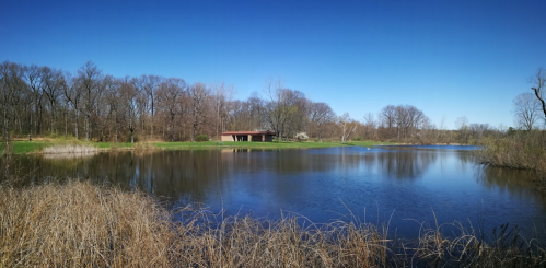 A serene lake surrounded by bare trees and grass, with a small building in the background under a clear blue sky.