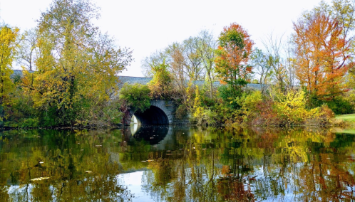 A serene pond reflects colorful autumn trees and a stone tunnel under a bridge, surrounded by vibrant foliage.