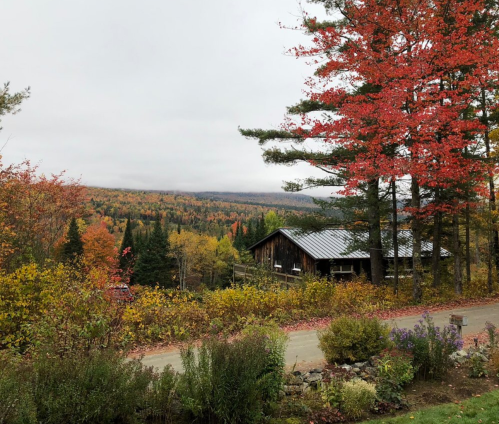 A rustic cabin surrounded by vibrant autumn foliage and rolling hills under a cloudy sky.