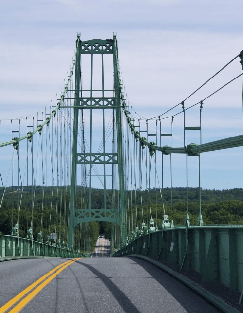 A green suspension bridge spans a road, surrounded by trees under a clear blue sky.