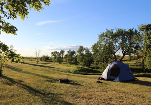 A blue tent set up on a grassy field, surrounded by trees under a clear blue sky.