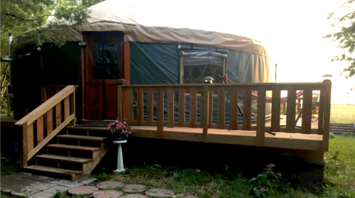 A wooden deck leads to a cozy yurt surrounded by greenery, with steps and a flower pot in front.