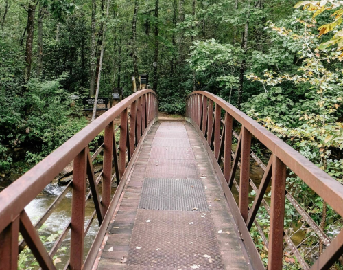 A metal bridge spans a forested area, leading over a stream surrounded by lush green trees.