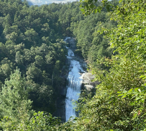 A cascading waterfall surrounded by lush green trees and foliage in a mountainous landscape.