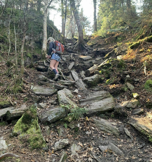 A hiker climbs a rocky, uneven trail surrounded by trees and greenery. Sunlight filters through the forest.