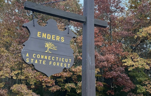 Sign for Enders State Forest in Connecticut, surrounded by colorful autumn foliage.