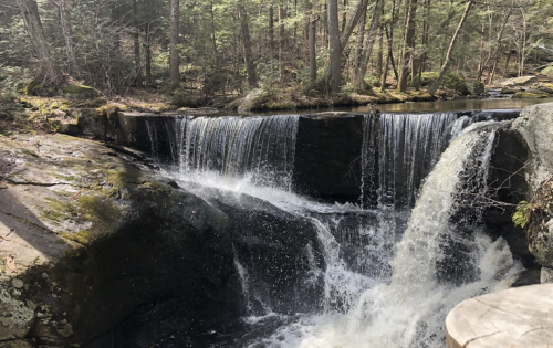 A serene waterfall cascading over rocks, surrounded by lush green trees in a tranquil forest setting.