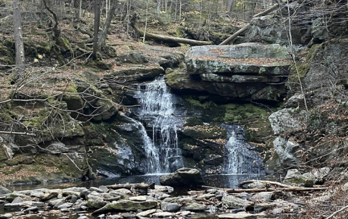 A serene waterfall cascades over moss-covered rocks in a tranquil forest setting, surrounded by autumn leaves.