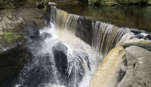 A serene waterfall cascading over rocks into a calm pool, surrounded by lush greenery.