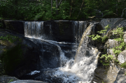 A serene waterfall cascading over rocks, surrounded by lush green foliage in a tranquil forest setting.