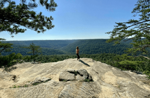 A person stands on a rocky ledge overlooking a lush green valley under a clear blue sky.