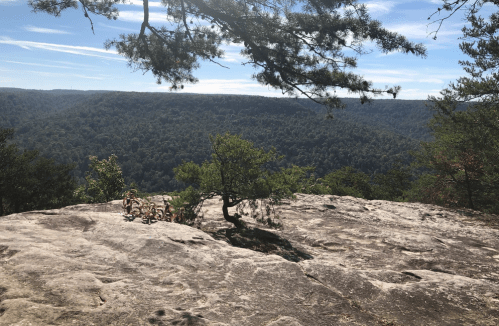 A rocky overlook with a lone tree, surrounded by lush green hills under a clear blue sky.