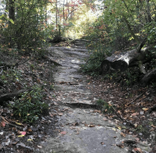 A rocky trail winding through a forest, surrounded by colorful autumn foliage and fallen leaves.
