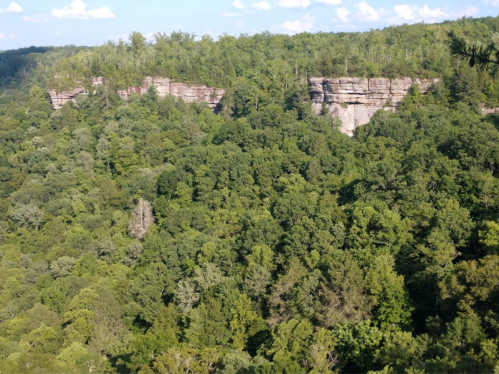 Lush green forest with rocky cliffs in the background under a blue sky with scattered clouds.