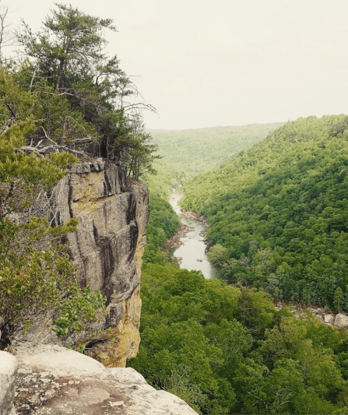 A scenic view of a river winding through lush green hills from a rocky cliff edge.
