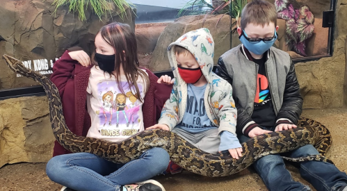 Three children sit together, wearing masks, with a large snake draped across their laps in a zoo setting.