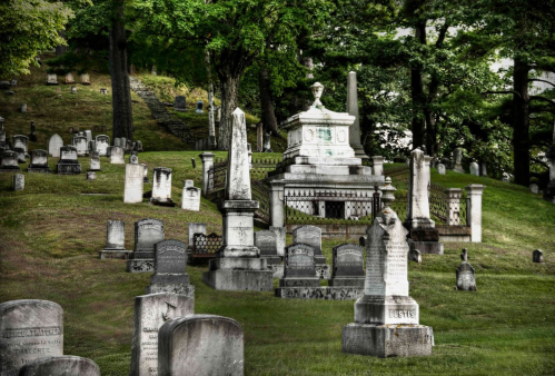 A serene cemetery with various gravestones and a large monument, surrounded by lush green trees.