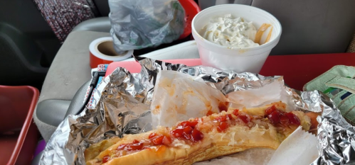 A foil-wrapped hot dog topped with ketchup and sauerkraut, next to a cup of coleslaw in a car interior.