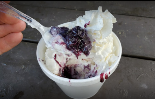 A hand holding a spoon with a cup of whipped cream and blueberry topping.