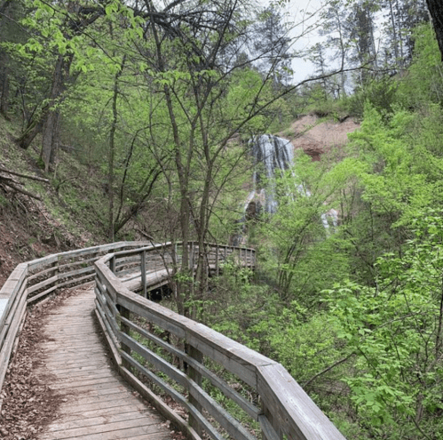 A wooden boardwalk winds through lush greenery, leading to a waterfall in a serene forest setting.