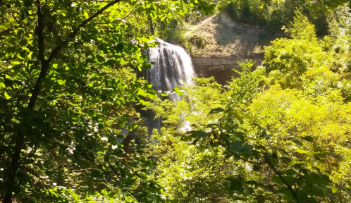 A serene waterfall cascading through lush green foliage in a forested area.