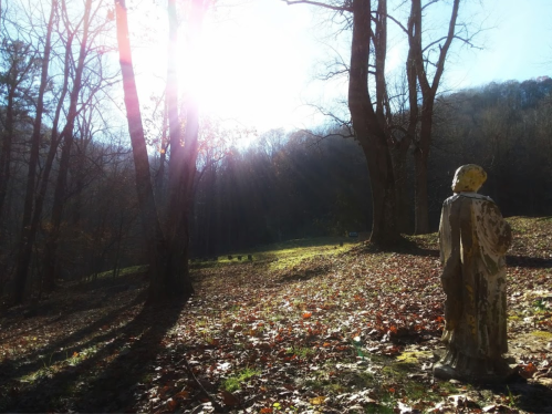A weathered statue stands in a sunlit forest clearing, surrounded by autumn leaves and tall trees.