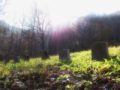Gravestones in a grassy clearing, surrounded by trees, with sunlight filtering through the branches.