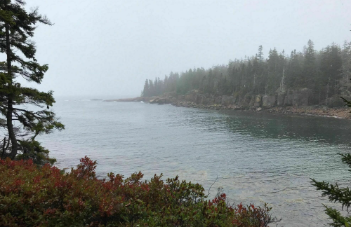 A misty coastal scene with calm waters, rocky shores, and dense evergreen trees along the shoreline.