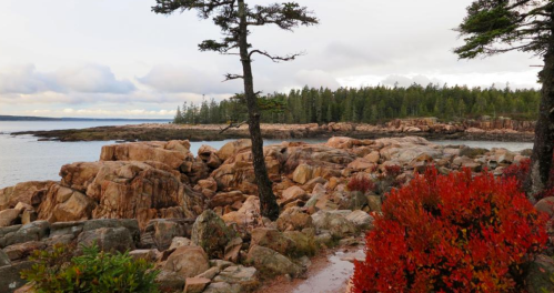Rocky coastline with trees and vibrant red foliage, set against a cloudy sky and lush green forest in the background.